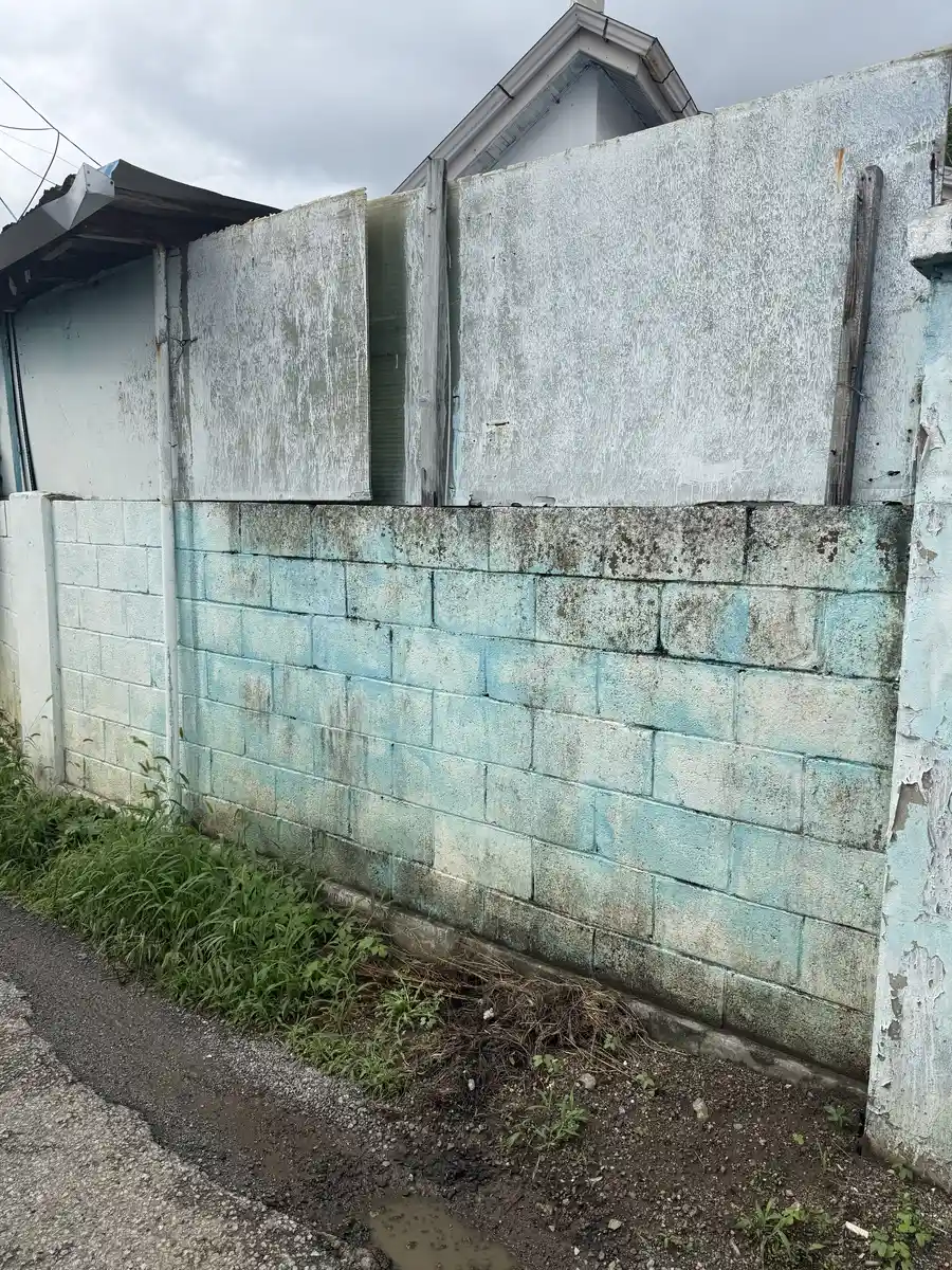 성남담장보수 외벽 크랙 시공 현장